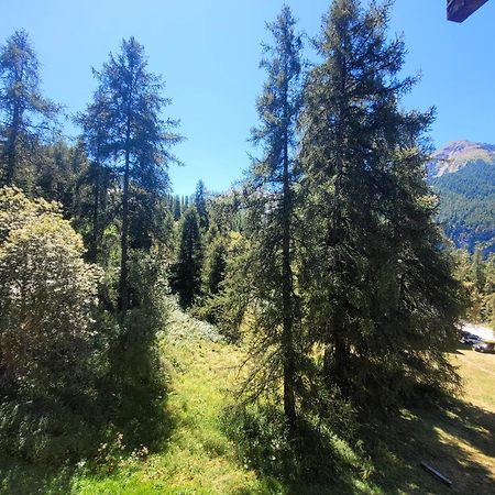 Le Lodge Des Marmottes - Calme, Cosy, Vue Nature Les Orres Buitenkant foto