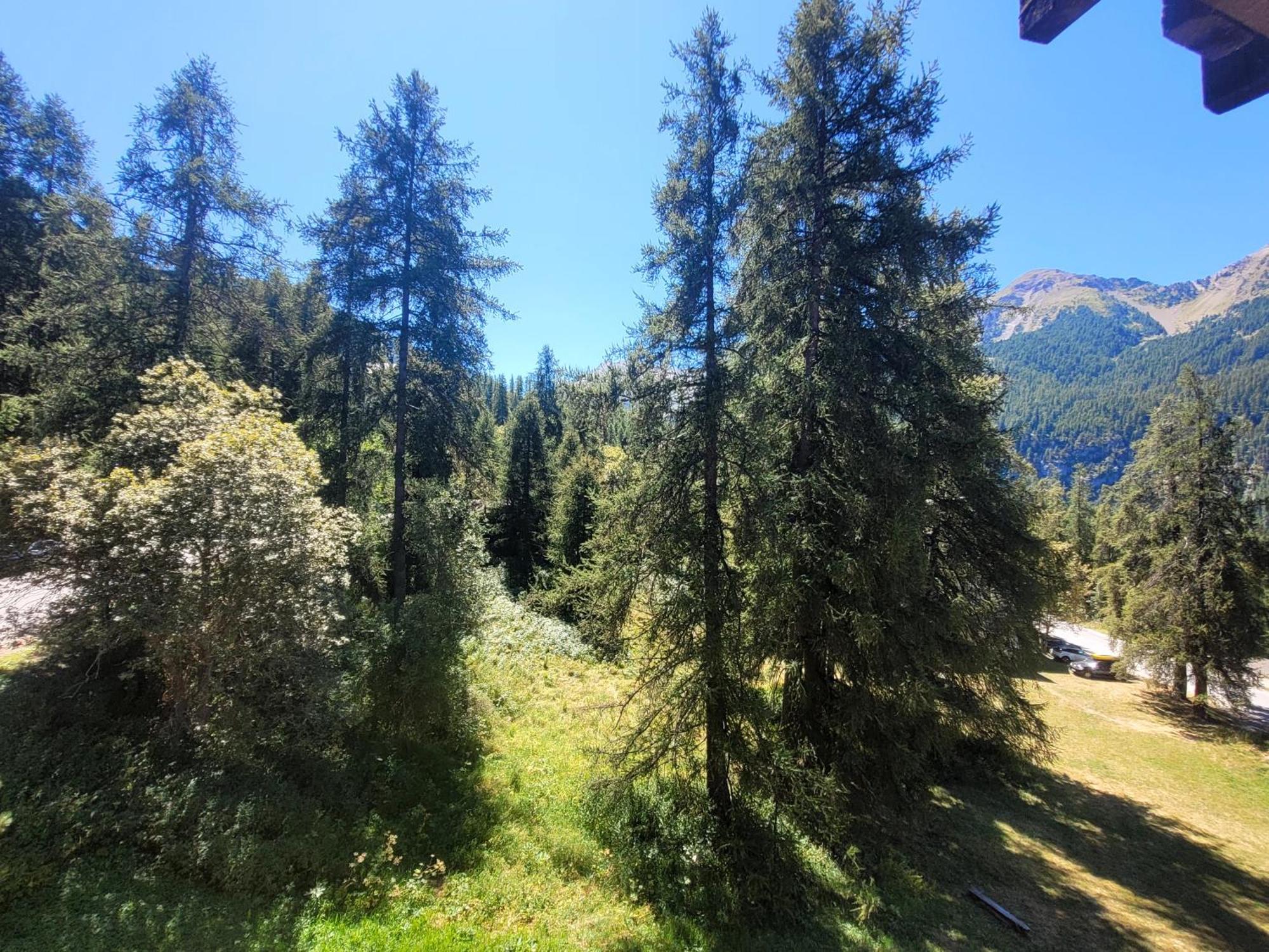 Le Lodge Des Marmottes - Calme, Cosy, Vue Nature Les Orres Buitenkant foto