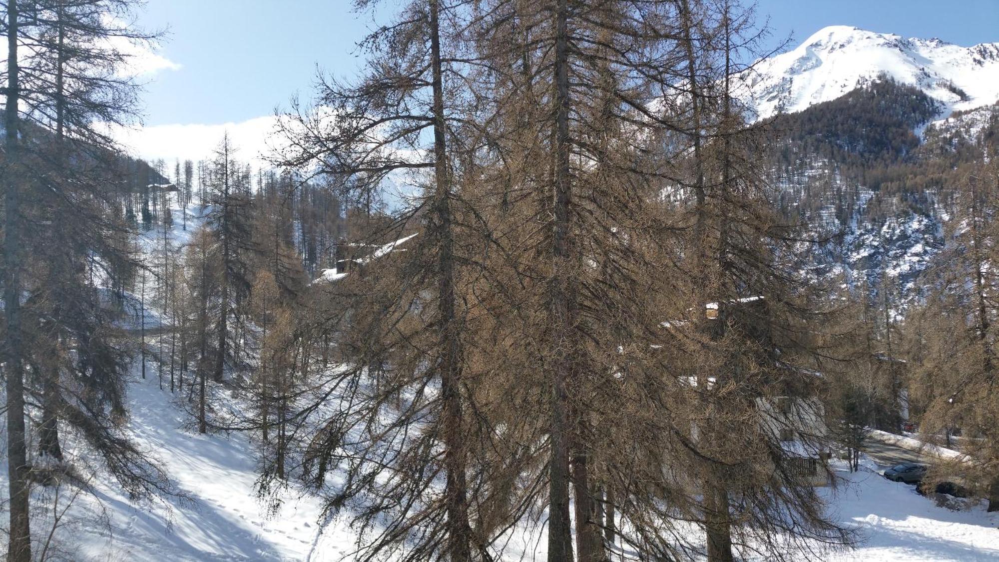 Le Lodge Des Marmottes - Calme, Cosy, Vue Nature Les Orres Buitenkant foto